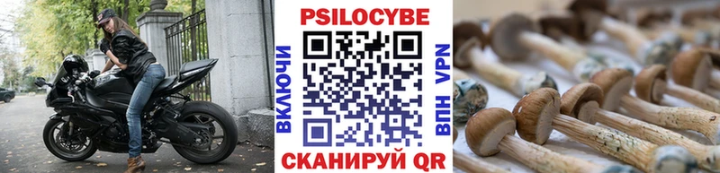 купить наркоту  Усть-Катав  Псилоцибиновые грибы Psilocybe 